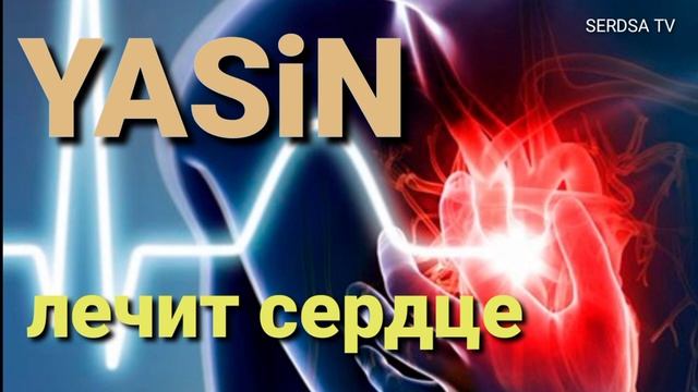 ЯСИН,,. ЛЕЧИТ СЕРДЦЕ ❤️ СЛУШАЙТЕ ПЕРЕД СНОМ смотреть онлайн