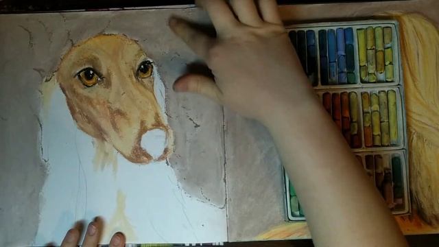 РИСУЮ САЛЮКИ СУХОЙ ПАСТЕЛЬЮ смотреть онлайн