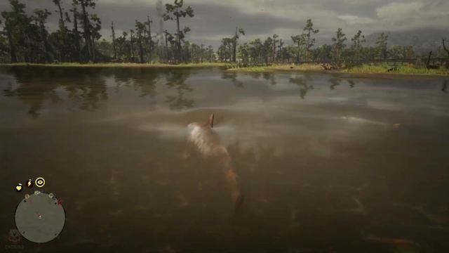 RDR2 Playing as Shark Mod / Red Dead Redemption 2 Shark Mod PC смотреть онлайн