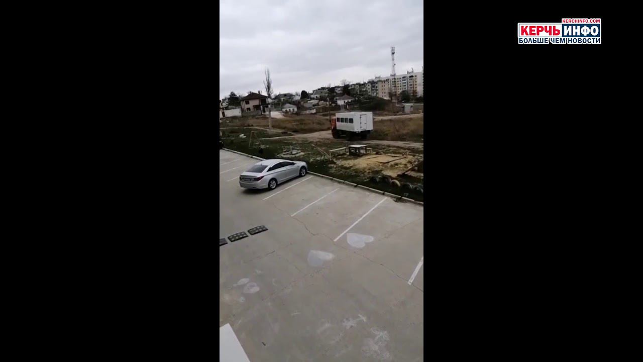 Жалобная книга: на детской площадке бегает стая собак смотреть онлайн