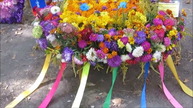 Выставка цветов/ДЕНЬ ГОРОДА/Осень/2016/Flower Show / Otoño /Flower Show / Autumn /Красиво/beautiful