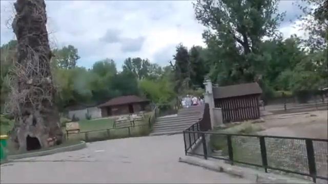 Верблюды Варшавы  Camels Of Warsaw