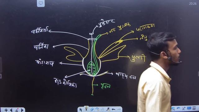 Class 10 Biology Chapter 6 | जनन ( Reproduction ) | Class 10th Science Chapter 6 | DK Sharma смотреть онлайн