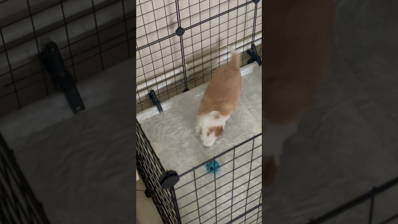 Конец 3й недели) Начали играть))