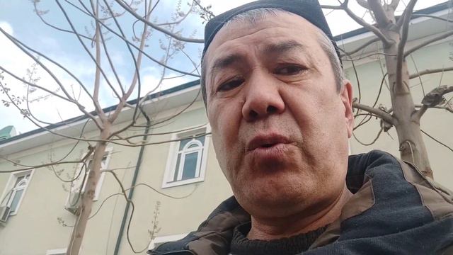павловния ку́чат 6000 су́м чувалчанг 500 Минг су́м смотреть онлайн
