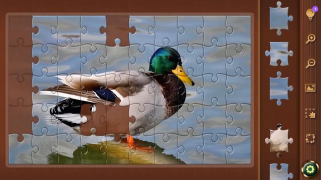 Favorite Puzzles - duck puzzle (android, ios, windows, web) смотреть онлайн