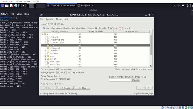 Dirbuster - Enumerating Web App Files and Directories смотреть онлайн
