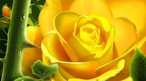 Красивая музыка танец цветов под вальс .Вальс из кинофильма Берегись автомобиля.