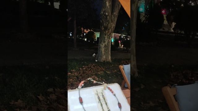Мила идет с треньки. Анапа. смотреть онлайн