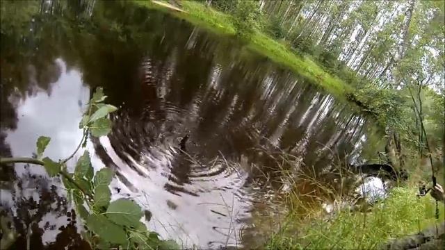 4 ФОРЕЛЕВЫХ РЕЧКИ 60FPS ПОСЛЕДНИЕ ДНИ ЛЕТА В ЛЕНИНГРАДСКОЙ ОБЛАСТИ СЕВЕРО-ЗАПАД BNN-FILM смотреть онлайн