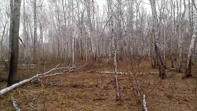 РГ Шугай, Нагонка, Вл Пономарев.Н.Н Омская обл. 2016г смотреть онлайн