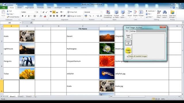 Insert picture in Excel cell automatically - Excel Image Assistant смотреть онлайн