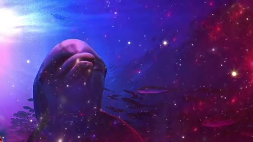 MUSIC смотреть онлайн