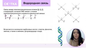 Водородная связь за 9 минут | ХИМИЯ ЕГЭ | СОТКА