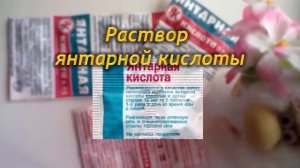 Удобрения для Гибискуса. Когда и чем подкормить Китайскую розу!