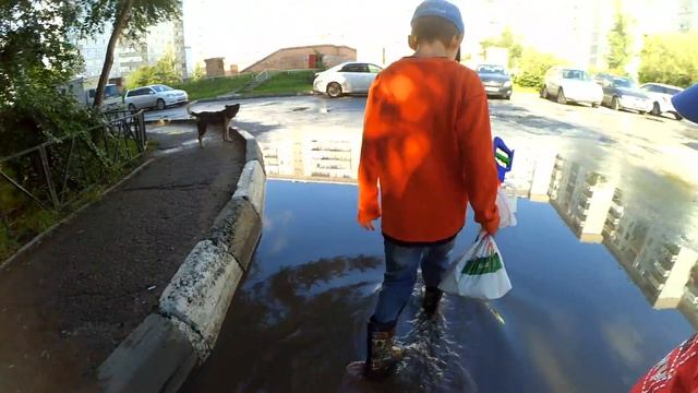 Бродячая собака привязалась к нам. Измерили все лужи во дворе. Влог смотреть онлайн
