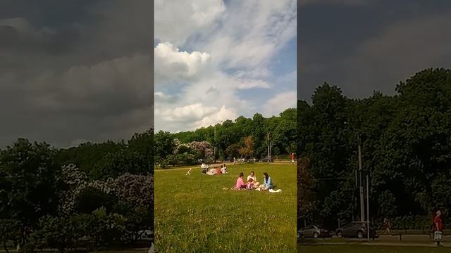 Цветение сирени. Марсово поле. смотреть онлайн