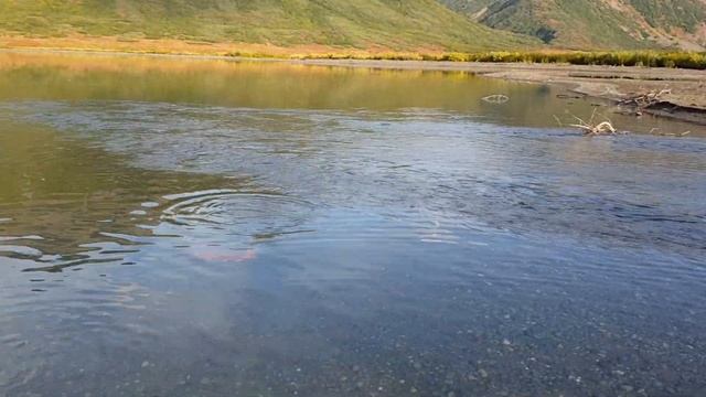 Охота и Рыбалка на Чукотки. смотреть онлайн