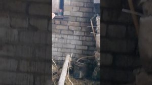 2024-03-09-033947445.mp4