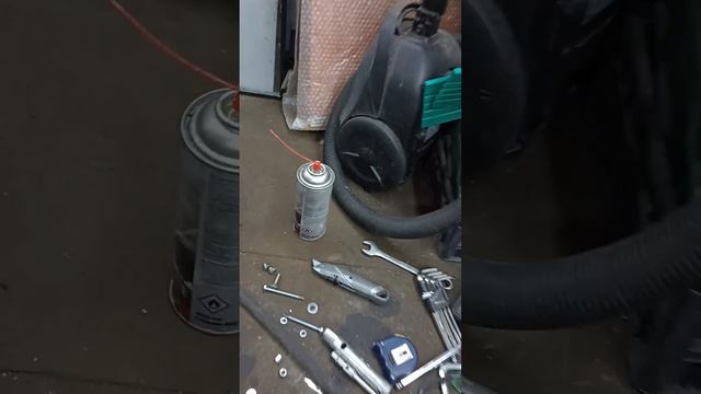 Лесной кот и попытка заключить договор смотреть онлайн