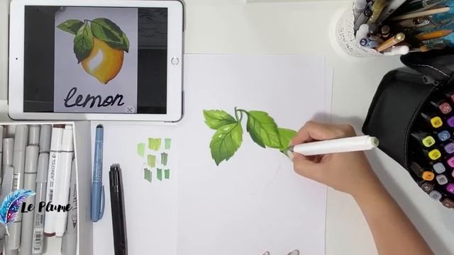 Рисуем Лимон художественными маркерами + (надпись каллиграфия) смотреть онлайн