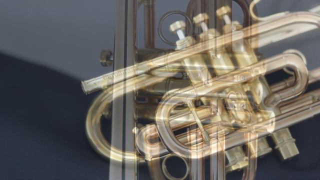 CarolBrass Custom Bb pro cornet, CCR-9990-GLS(D)-Bb-NL, long bell, 85% gold brass 5.25" bell смотреть онлайн