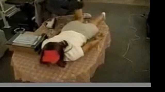 Pizza Delivery Complete! смотреть онлайн