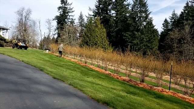 Blueberry Fertilizing Spring 2021 First Application смотреть онлайн