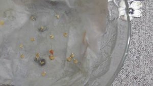 СЕМЕНА комнатного перца ОГОНЁК проросли на 7й день