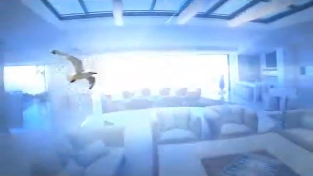 Мебельный Центр «Чайка» , "Лето" 5 сек 03 смотреть онлайн