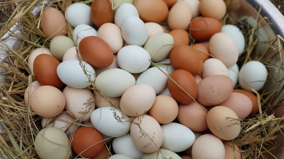 УНИКАЛЬНОЕ КУРИНОЕ ЯЙЦО! 13.05.2024 год смотреть онлайн