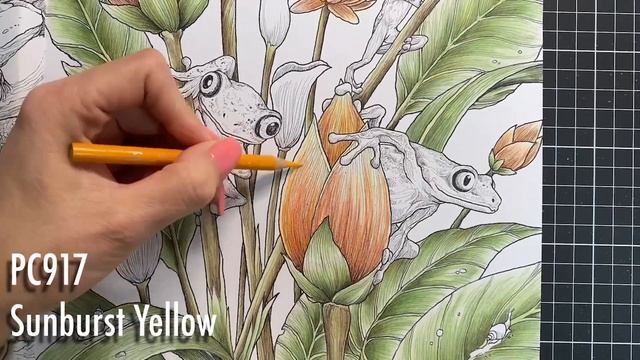 Colour Along | Fragile World by Kerby Rosanes | Lemur Leaf Frogs смотреть онлайн