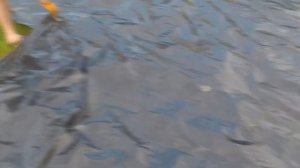 Чем склеить полиэтиленовую пленку | Легкий способ | #DIY