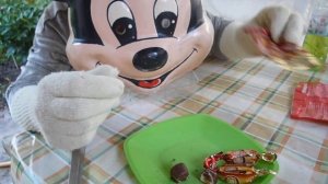 Левушка. Конфета шоколадная  фабрики Славянка. Candy chocolate. [ Микки Сладкоежка ]