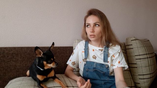 Как наладить контакт с той терьером или связь человека и собаки смотреть онлайн