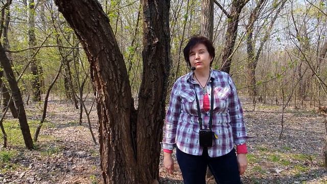 Диевские плавни - Днепровская венеция. смотреть онлайн