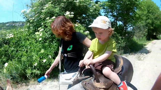 Нет ветра на кайт - бери осла. Погнали! смотреть онлайн