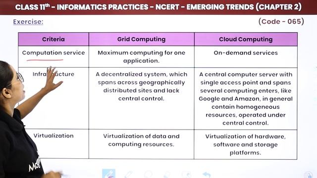 Emerging Trends - Exercise (Theory) | Class 11 Informatics Practices Chapter 2 (Code 065) смотреть онлайн