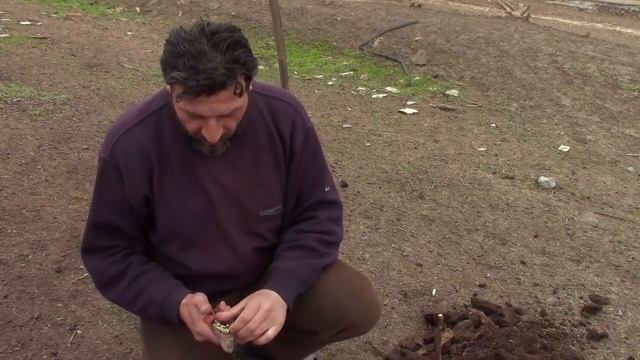 Обычный день 2.( ЗМЕИ )