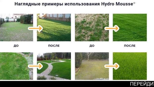 Жидкий газон леруа смотреть онлайн