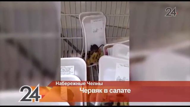 Житель Набережных Челнов обнаружил червяка в салате смотреть онлайн