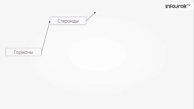 Ферменты. Гормоны