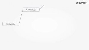 Ферменты. Гормоны