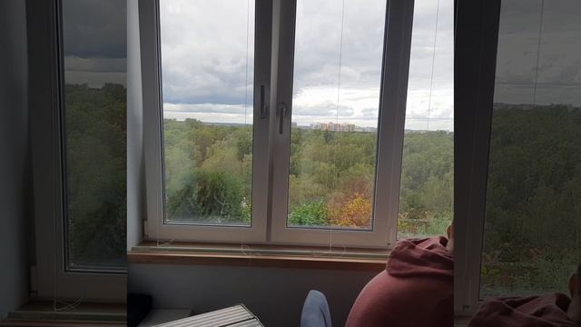 Рулонные шторы смотреть онлайн