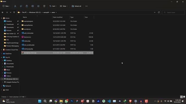 How to Install on WordPress on Windows 11 using Wampserver | Run WordPress Offline смотреть онлайн