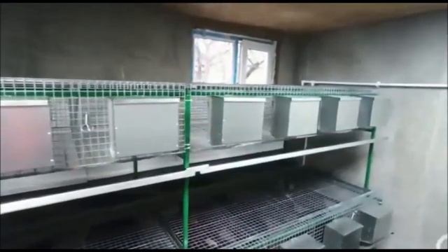 Семейная миниферма кроликов. смотреть онлайн