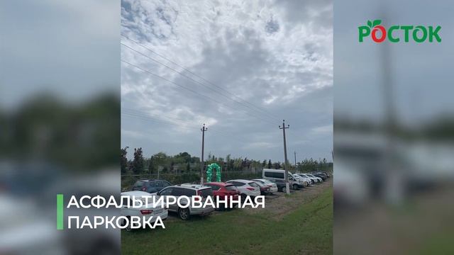 Обзор садового центра Росток г. Курск. | Супермаркет растений | Собственный питомник смотреть онлайн