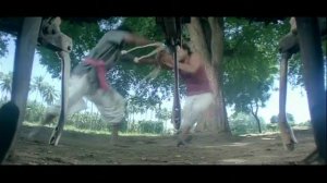 Индийский боевик