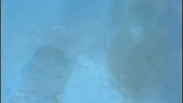 PM Dawn - Set A Drift On Memory Bliss.mp4 смотреть онлайн