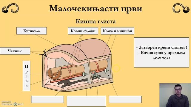 Člankoviti crvi - 6. razred смотреть онлайн